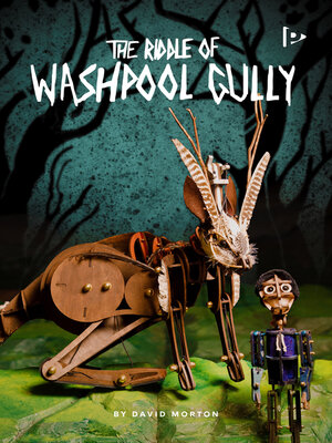 cover image of The Riddle of Washpool Gully